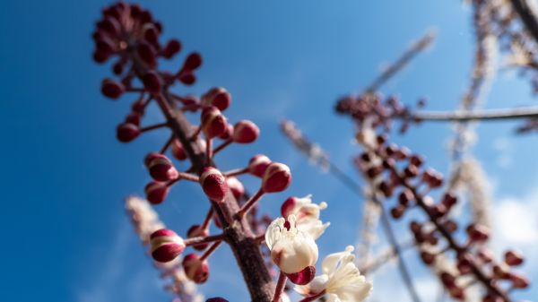 Vincere le vampate di calore